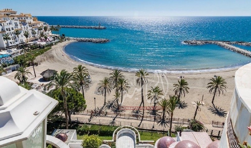 أخبار الجالية