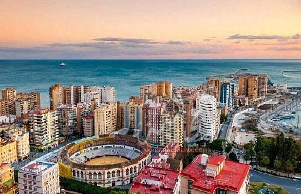 أخبار الجالية