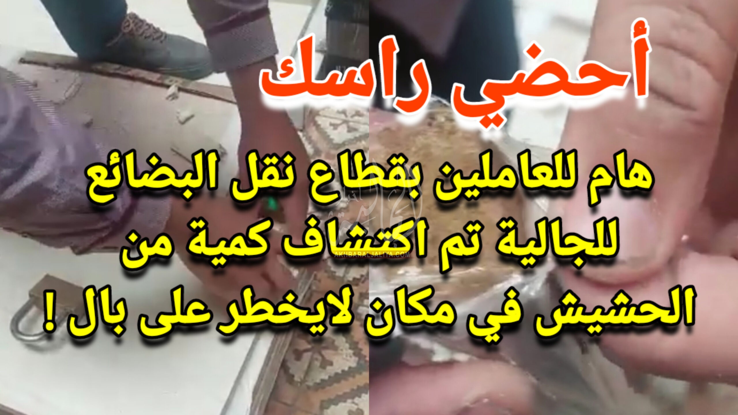 أخبار الجالية