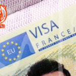 أخبار الجالية