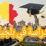 أخبار الجالية