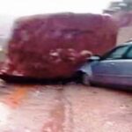 أخبار الجالية