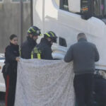 أخبار الجالية