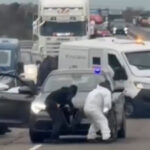 أخبار الجالية