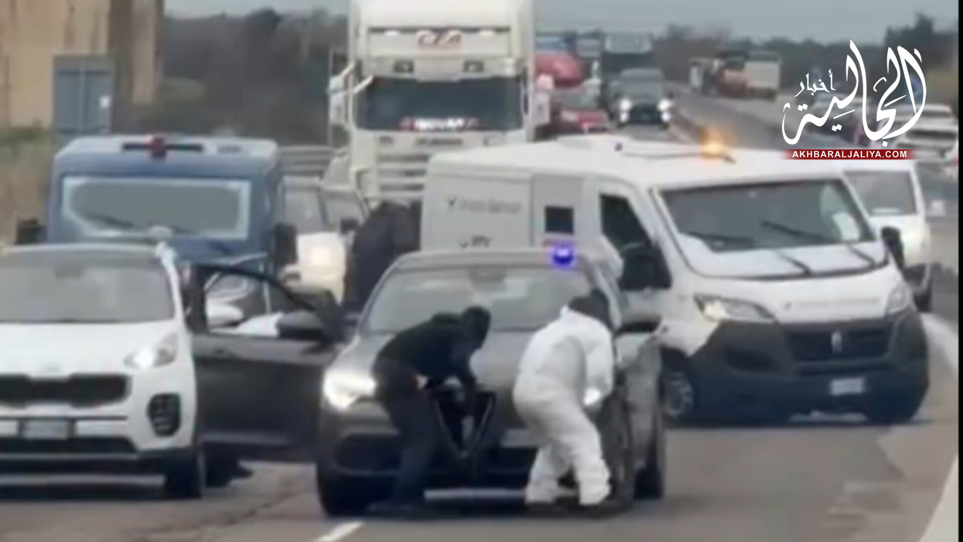 أخبار الجالية