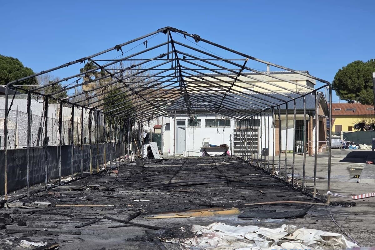 أخبار الجالية