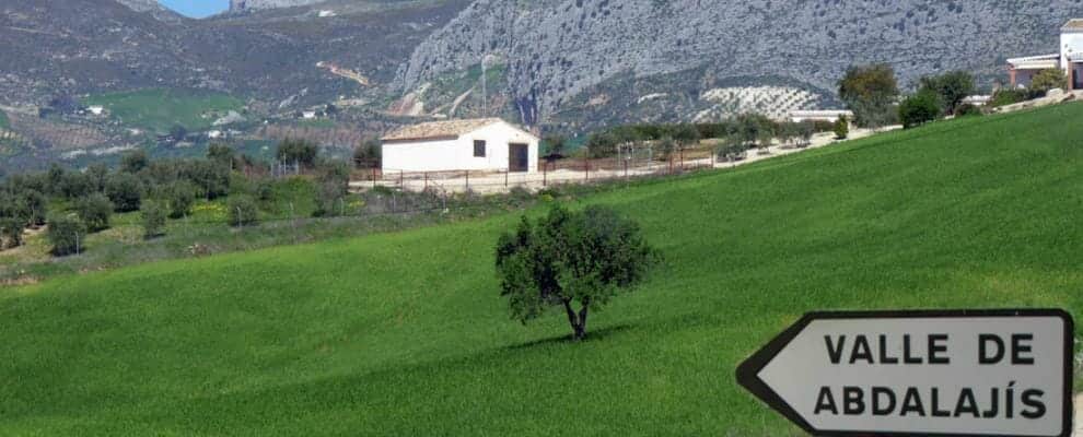 أخبار الجالية