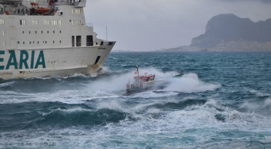 أخبار الجالية