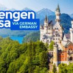 أخبار الجالية