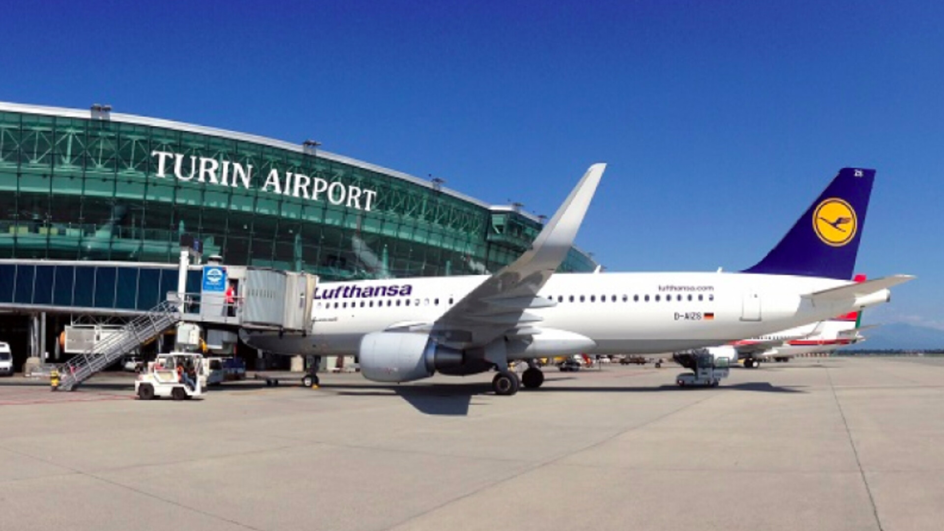 أخبار الجالية