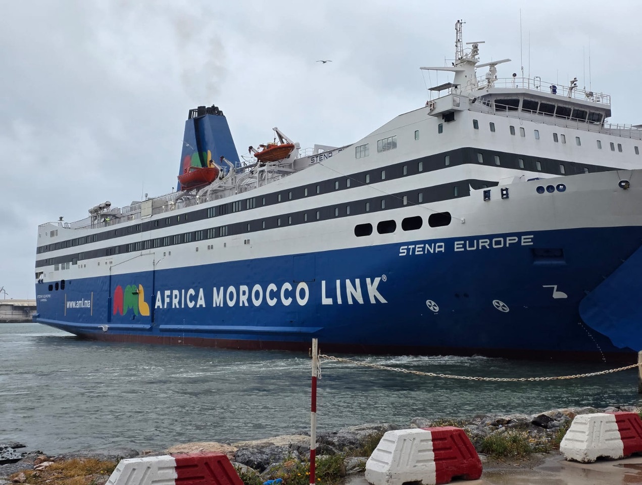 أخبار الجالية