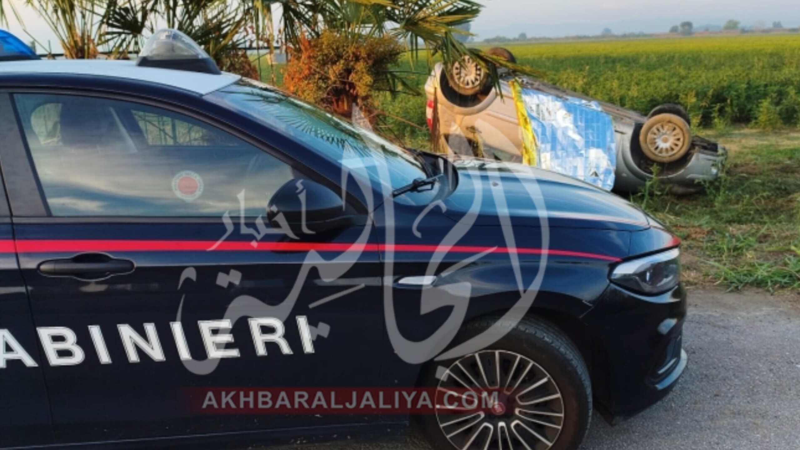 أخبار الجالية