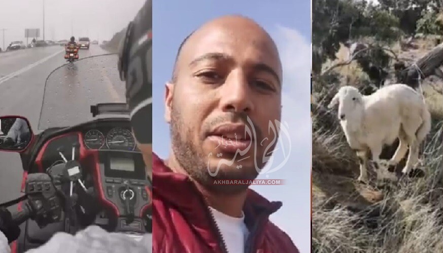 أخبار الجالية