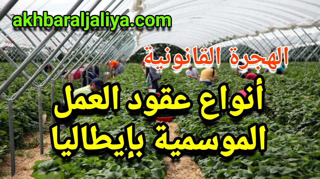 أنواع عقود العمل الموسمية في ايطاليا