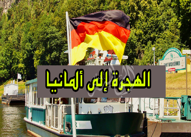 أخبار الجالية