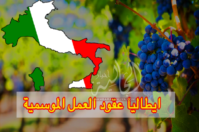 أخبار الجالية